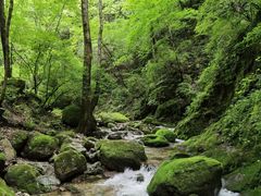 -牛背梁国家森林公园