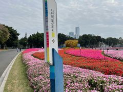 -海心沙亚运公园