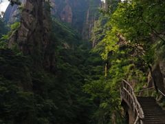 -黄山风景区