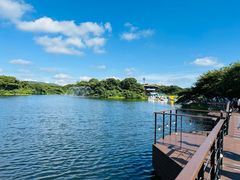 -济州森林小火车生态公园