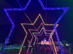 -广西壮族自治区药用植物园