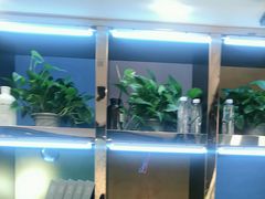-印堂精品装饰丨一站式装修(宜山店)