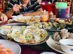 -大湾区中央湿地公园-十九涌