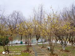 -武汉交通职业学院