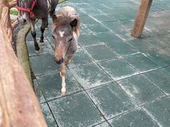 -雪浪山卡丁车俱乐部