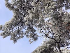 -泰山风景名胜区