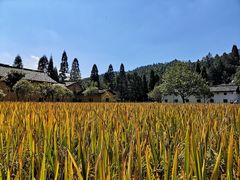 -井冈山风景名胜区