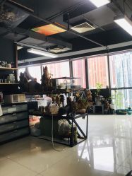 -周忆刺青原创设计定制