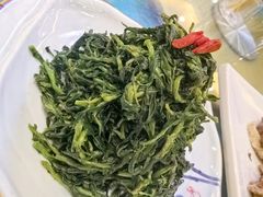 清香枸杞苗-国强手抓(北京西路店)