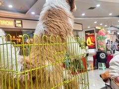 -万达广场(沈阳铁西店)