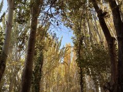 -艾提尕尔清真寺