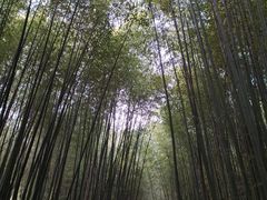 -竹泉村旅游度假区