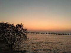 -宝安西湾红树林湿地公园