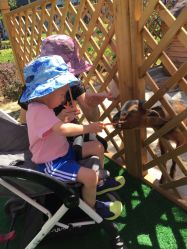 -萌宠亲子动物乐园(槐房万达店)