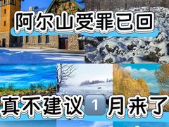 -汤旺河林海奇石景区