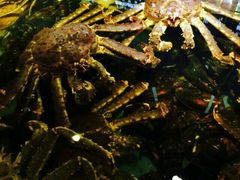 -蟹之国·精品蟹料理(极地店)