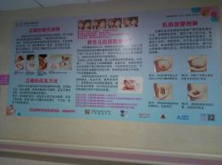 -广州市妇女儿童医疗中心(妇婴院区)