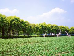 -广东花都香草世界旅游度假区