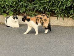 -杭州师范大学(下沙校区)