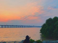 -宝安西湾红树林湿地公园