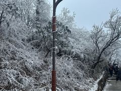 -峨眉山风景名胜区
