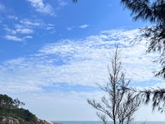 -广东惠东海龟国家级自然保护区