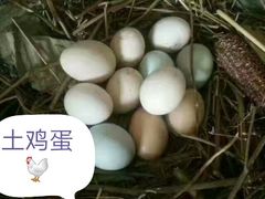 -九龙潭景区