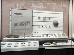 -四川大学博物馆