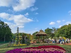 -上海共青森林公园