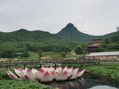 -帽儿山风景区