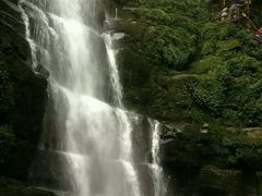 android_upload_pic-碧峰峡风景区