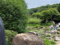 -深圳国际园林花卉博览园