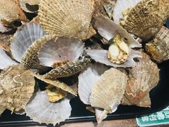 烤扇贝-金谷园饺子·烧烤·家宴(人大总店)