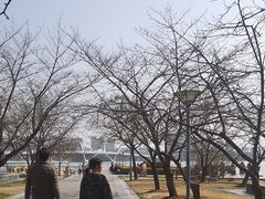 -蠡湖大桥公园