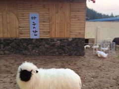 -HERRE·FARM 赫尔露营农场·团建聚会包场