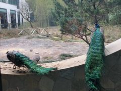 -苏州环秀晓筑养生度假村