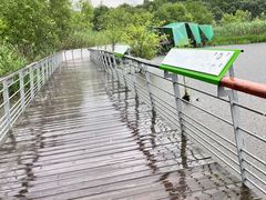 -西湖风景区-江洋畈生态公园