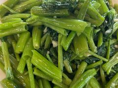 -丁老爷子苏香圆