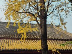 -成都市文殊院