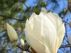 -北京植物园南门售票处