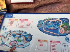 -海合安天津极地海洋公园