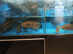 -客汁源味·客家菜(时代城店)