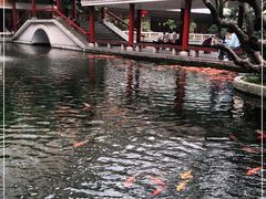 -番禺宾馆丽苑厅