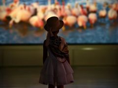 -罗红摄影艺术馆