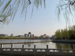 -莲花池公园