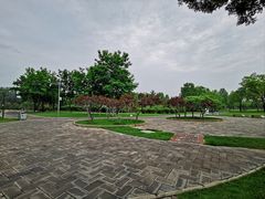 -北坞公园