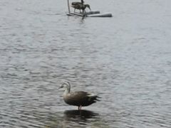 -前关湿地公园