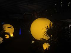 -胜博殿日式炸猪排(侨福芳草地店)