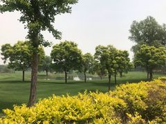 -北京京辉高尔夫俱乐部有限公司