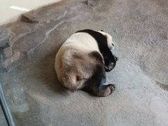 -宁波野生动物园